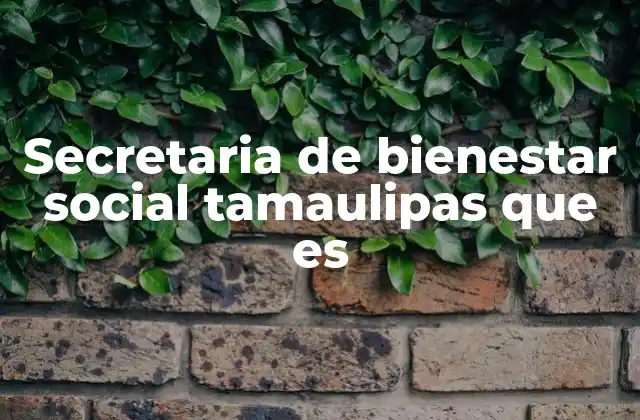 Secretaria de Bienestar Social Tamaulipas que es