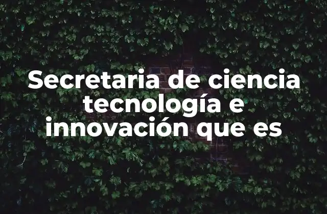 Secretaria de Ciencia Tecnología e Innovación que es