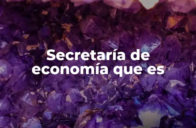 Secretaría de Economía que es