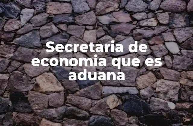 Secretaria de Economia que es Aduana