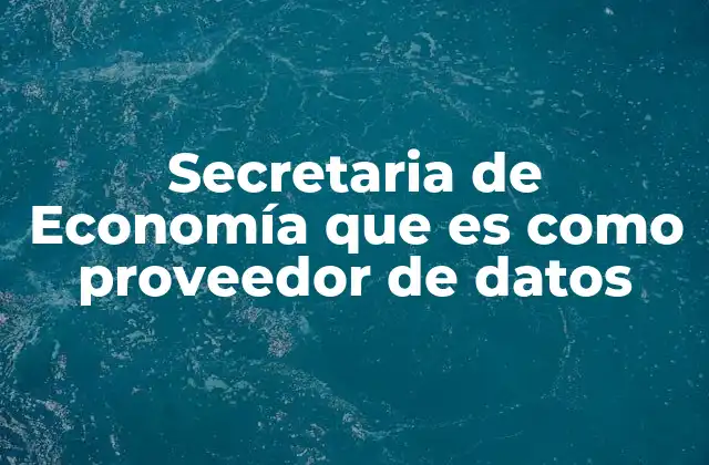 Secretaria de Economía que es como Proveedor de Datos