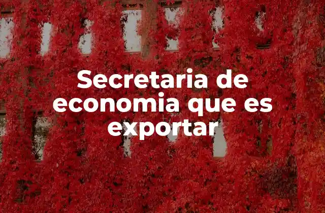 Secretaria de Economia que es Exportar