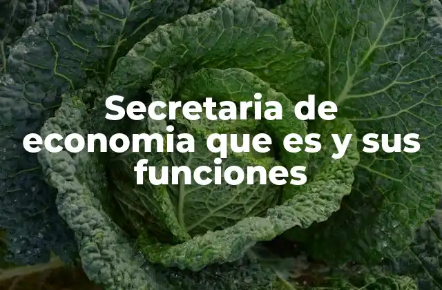 Secretaria de Economia que es y Sus Funciones