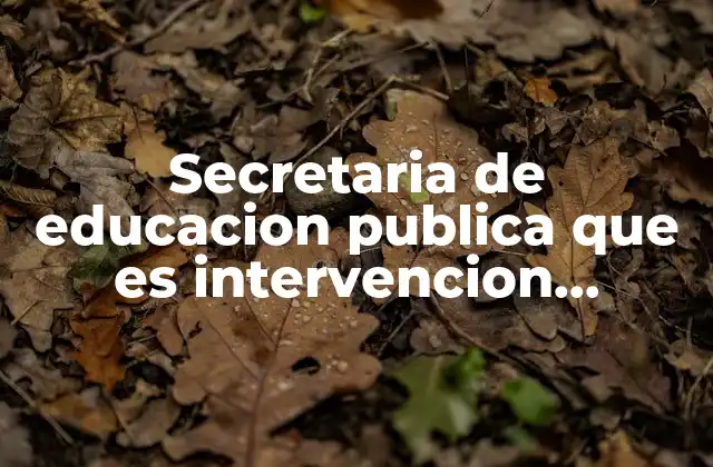 Secretaria de Educacion Publica que es Intervencion Educativa