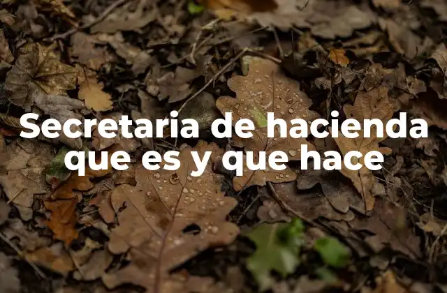 Secretaria de Hacienda que es y que Hace