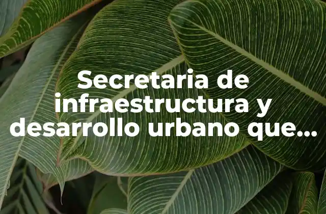 La importancia de las políticas urbanas en el desarrollo nacional