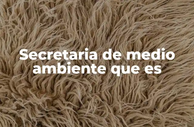 Secretaria de Medio Ambiente que es