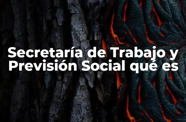 Secretaría de Trabajo y Previsión Social Qué es