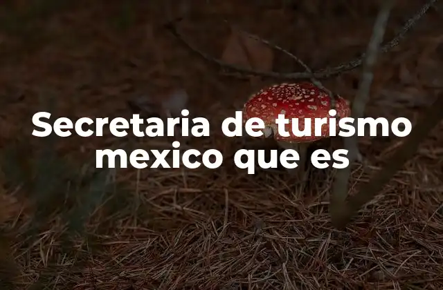 Secretaria de Turismo Mexico que es
