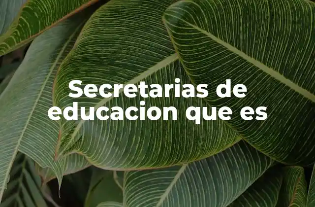 Secretarias de Educacion que es
