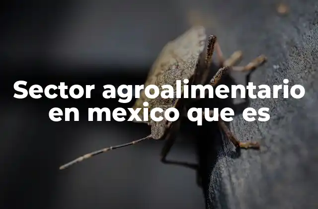 Sector Agroalimentario en Mexico que es