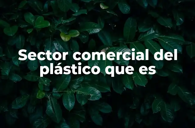 Sector Comercial Del Plástico que es
