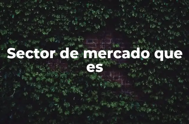 Sector de Mercado que es