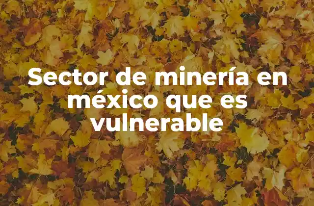 Sector de Minería en México que es Vulnerable