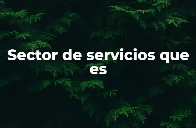 Sector de Servicios que es