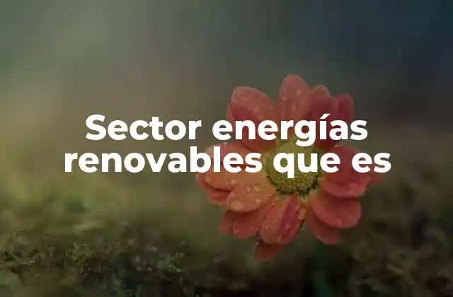 Sector Energías Renovables que es