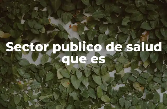 Sector Publico de Salud que es
