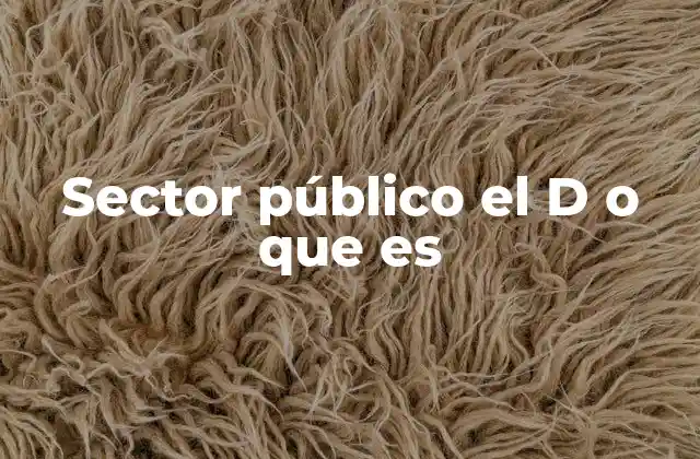 Sector Público el D o que es