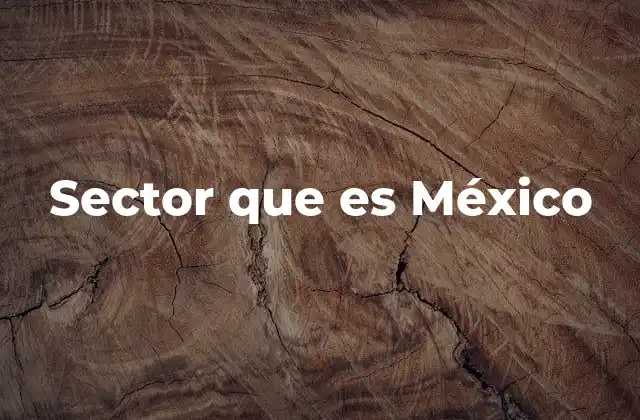 Sector que es México