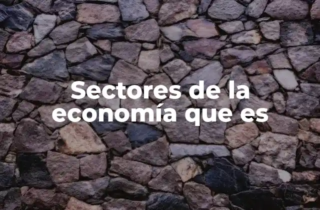 Sectores de la Economía que es