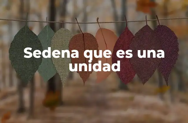 Sedena que es una Unidad