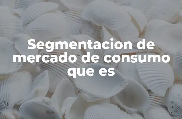 Segmentacion de Mercado de Consumo que es