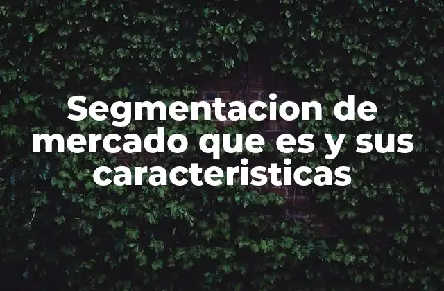 Segmentacion de Mercado que es y Sus Caracteristicas