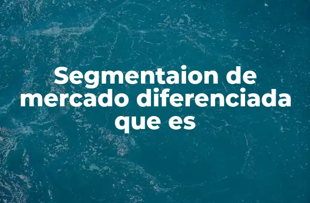 Segmentaion de Mercado Diferenciada que es