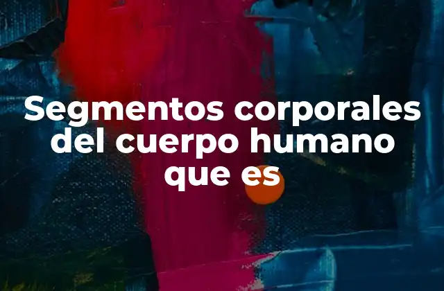 Segmentos Corporales Del Cuerpo Humano que es