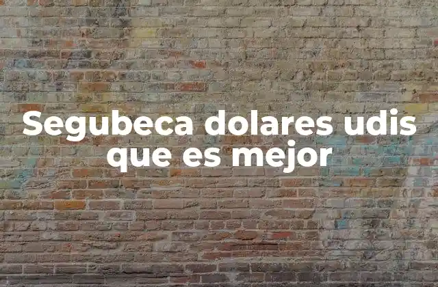 Segubeca Dolares Udis que es Mejor