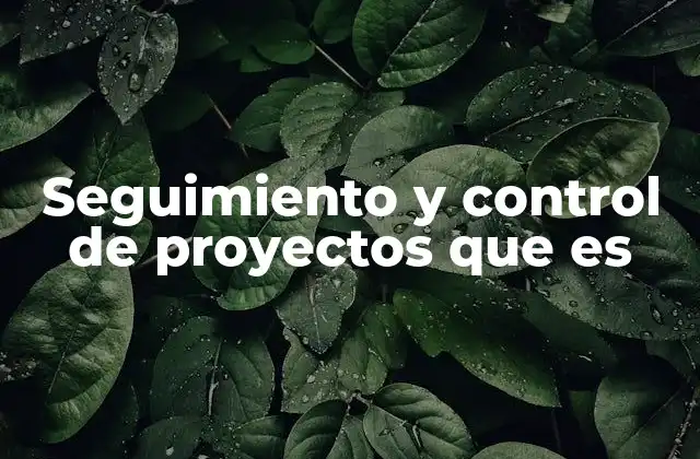 Seguimiento y Control de Proyectos que es