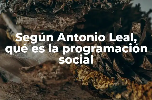 La programación social como herramienta para el cambio social