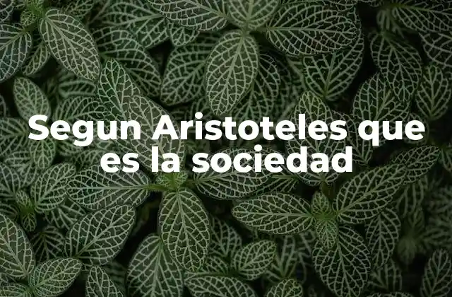 Segun Aristoteles que es la Sociedad