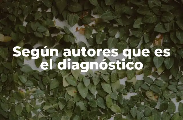 Según Autores que es el Diagnóstico