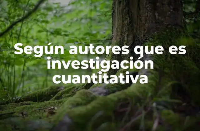 Según Autores que es Investigación Cuantitativa