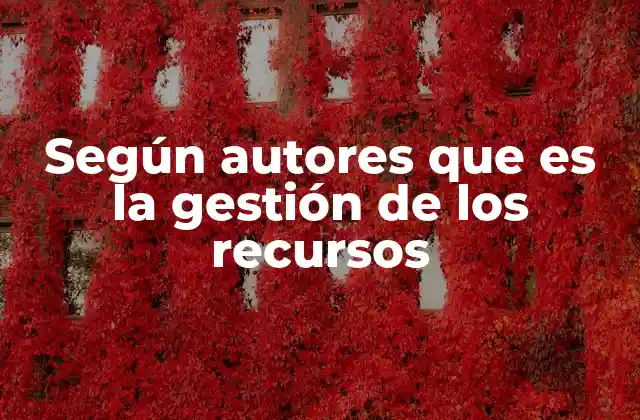 Según Autores que es la Gestión de los Recursos