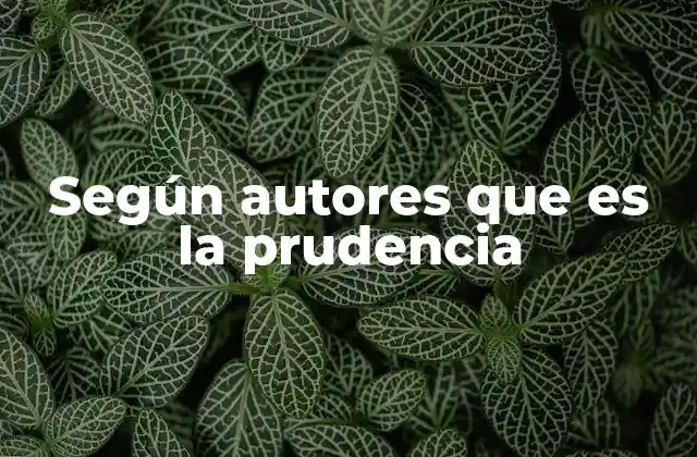 Según Autores que es la Prudencia
