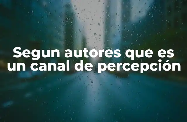 Segun Autores que es un Canal de Percepción