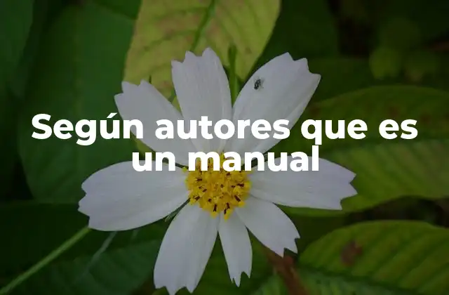 Según Autores que es un Manual