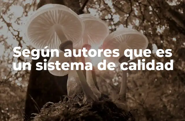 Según Autores que es un Sistema de Calidad