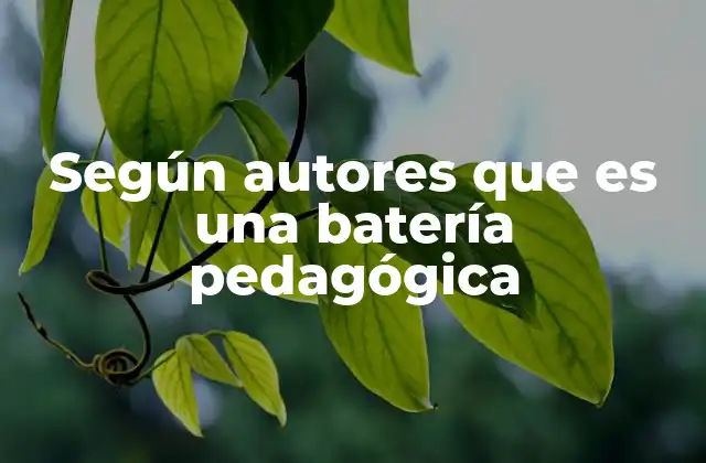 Según Autores que es una Batería Pedagógica