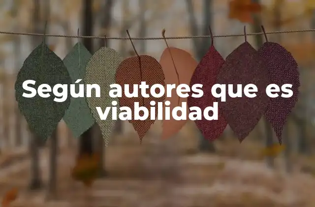 Según Autores que es Viabilidad