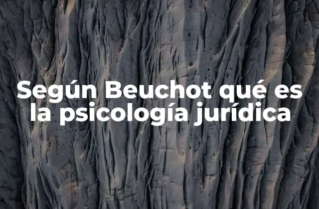 Según Beuchot Qué es la Psicología Jurídica