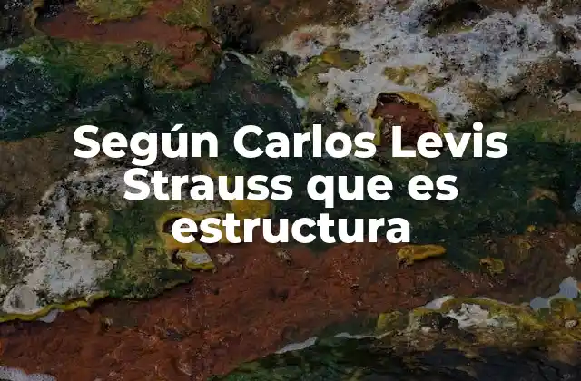 Según Carlos Levis Strauss que es Estructura
