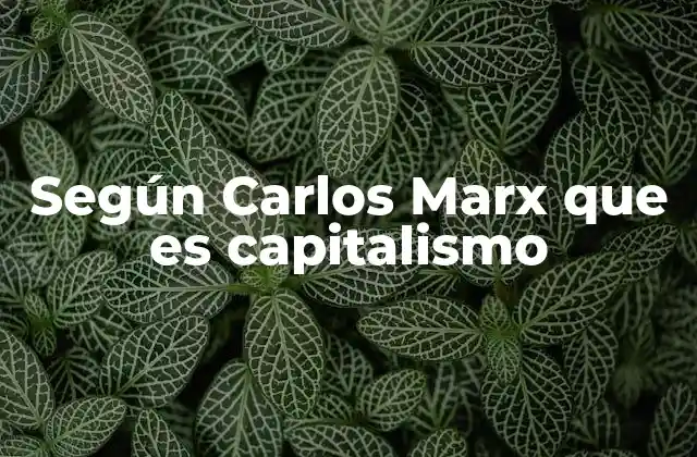 Según Carlos Marx que es Capitalismo