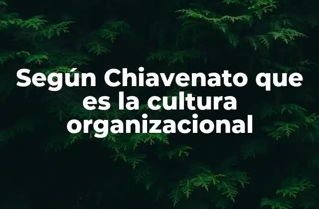 Según Chiavenato que es la Cultura Organizacional