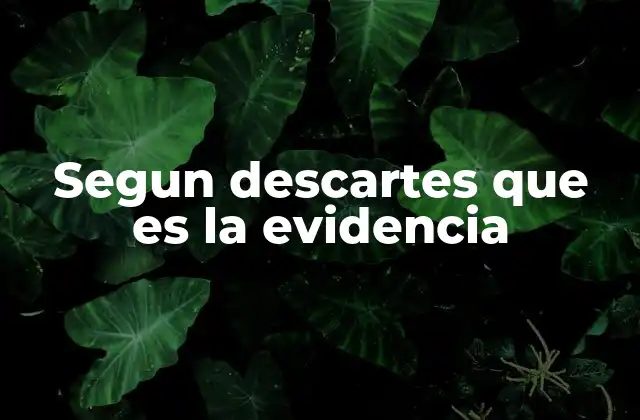 Segun Descartes que es la Evidencia