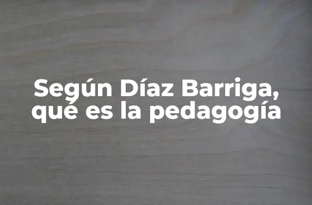 Según Díaz Barriga, Qué es la Pedagogía