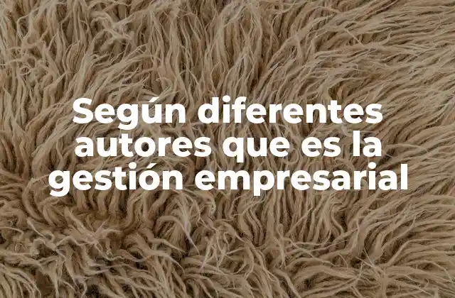 Según Diferentes Autores que es la Gestión Empresarial