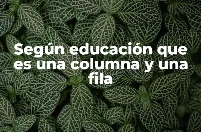 Según Educación que es una Columna y una Fila
